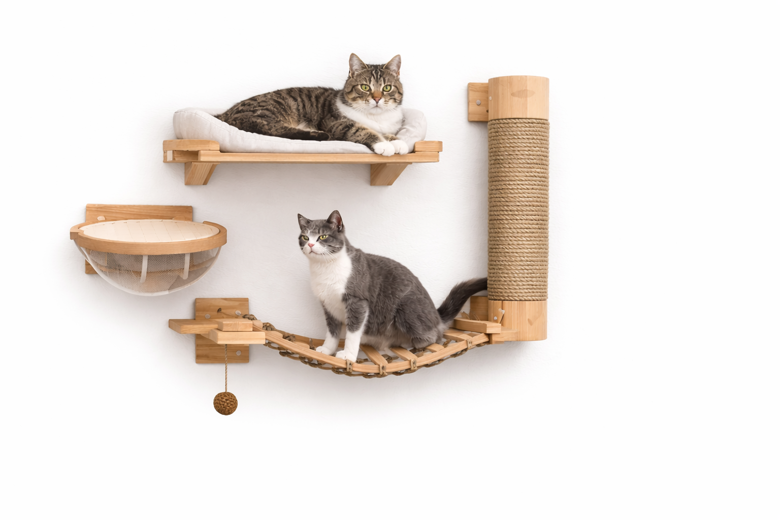 Wall-Mounted Cat Climbing Set