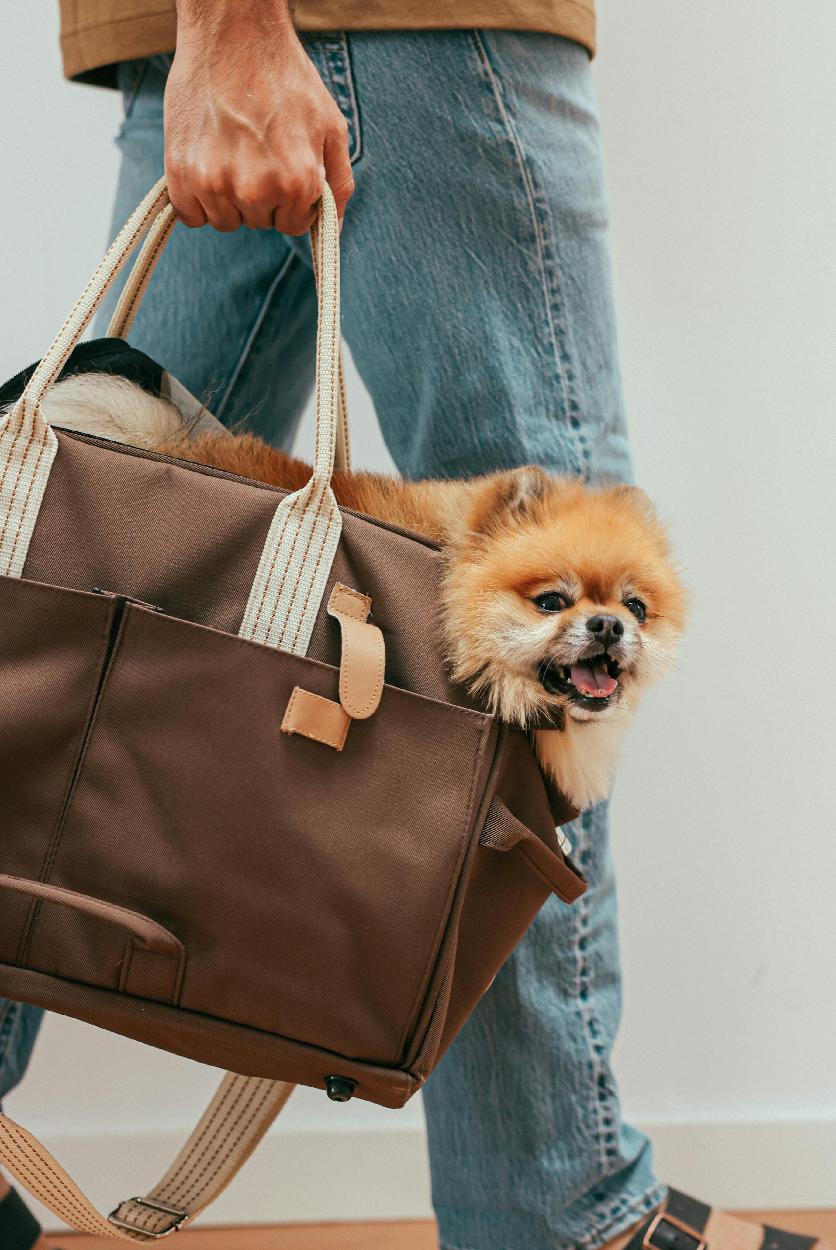 Luxury Small Dog Purse Carrier