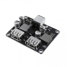 Dual USB Output Power Module