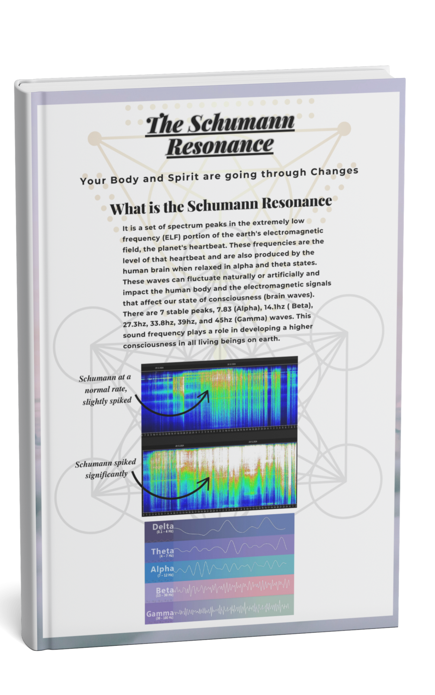 Your Ultimate Ascension Guide