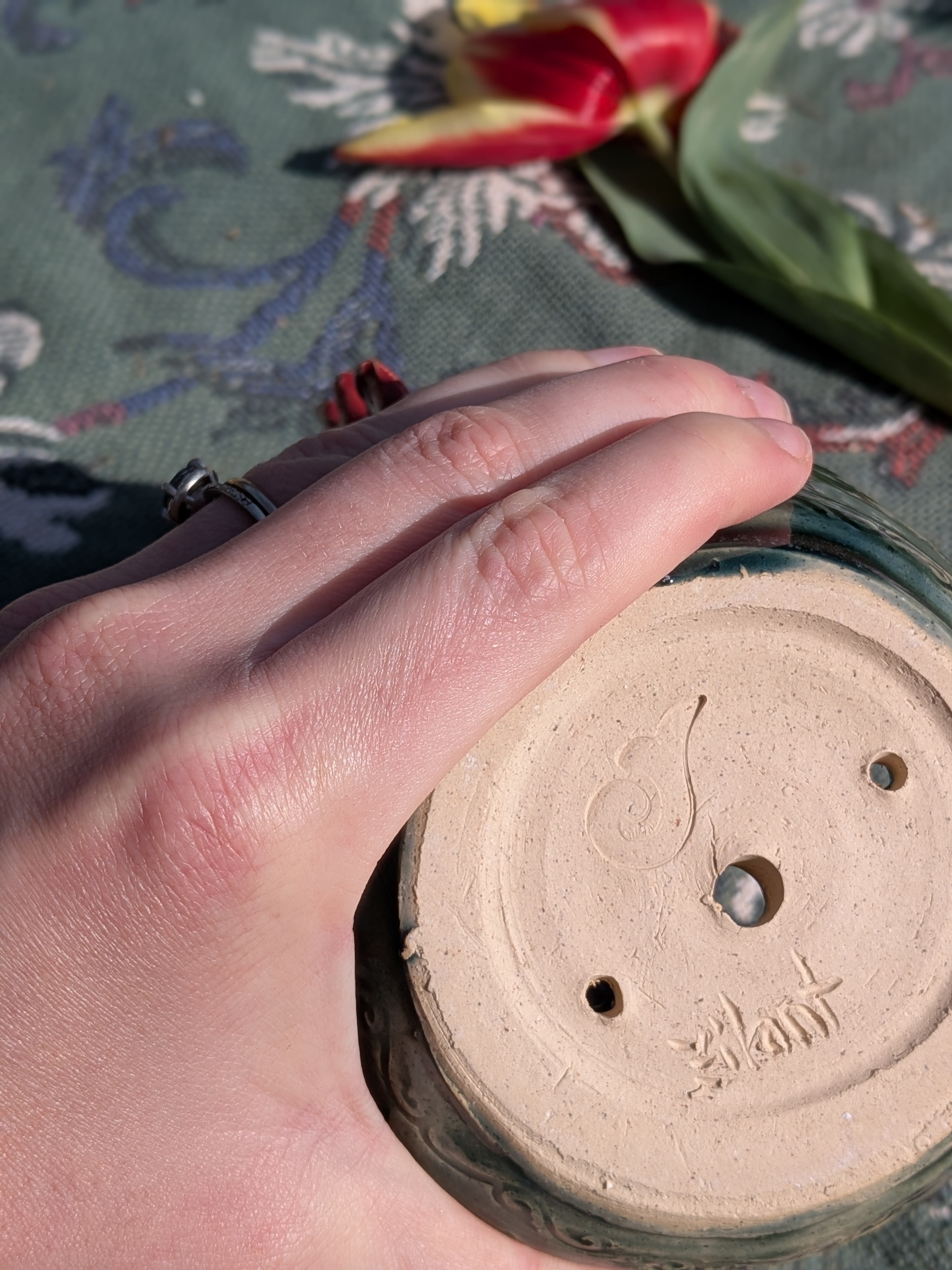 Rainforest Rooster Planter