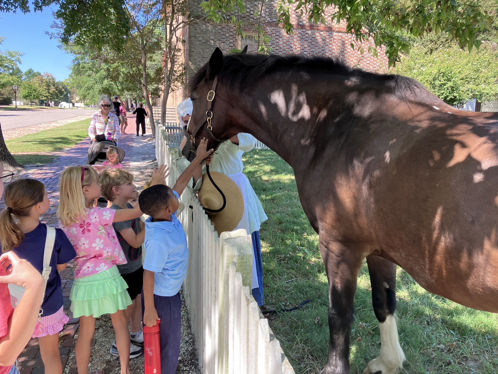 Learning is Fun Sponsor