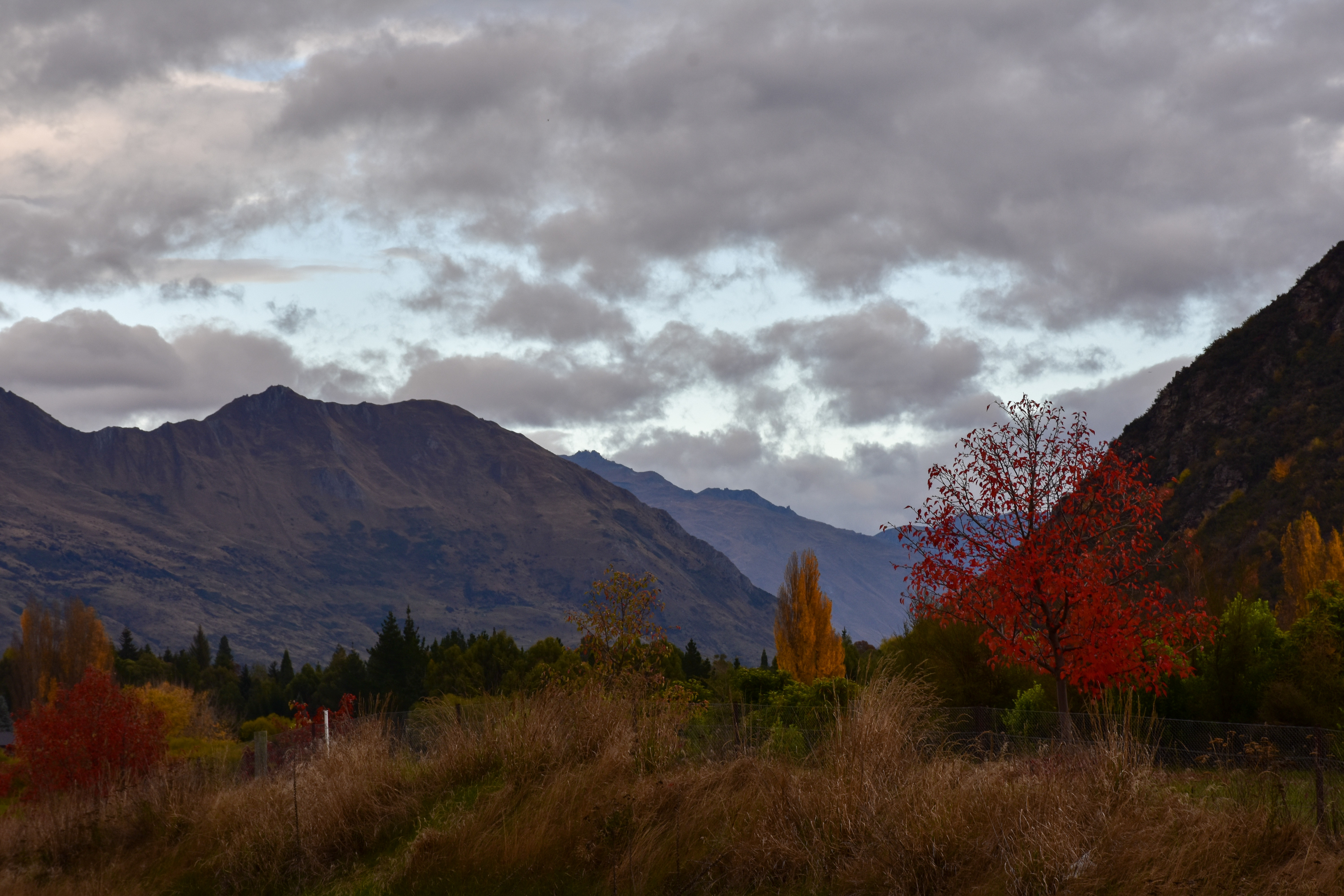 Autumn State of Mind