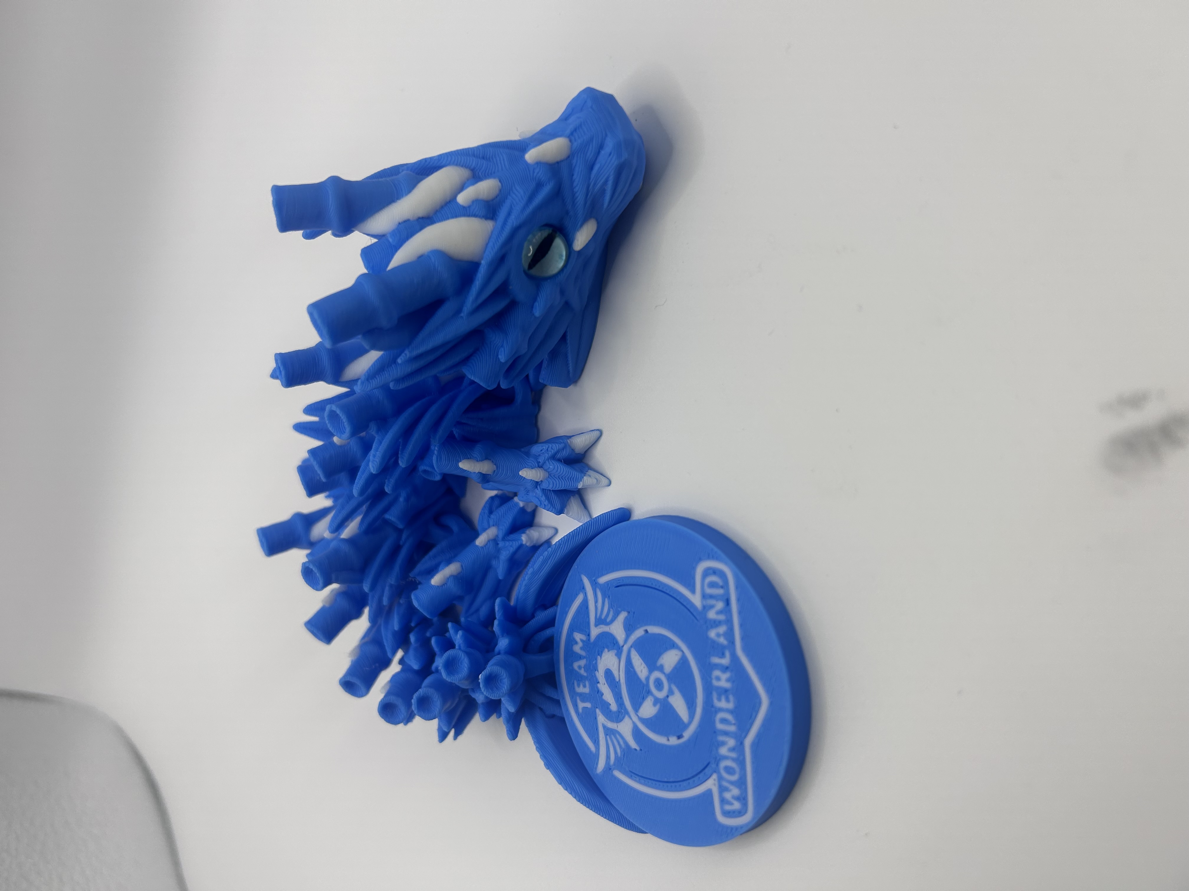 Team Wonderland mini 