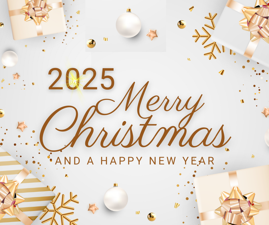 2025 Merry Christmas Card