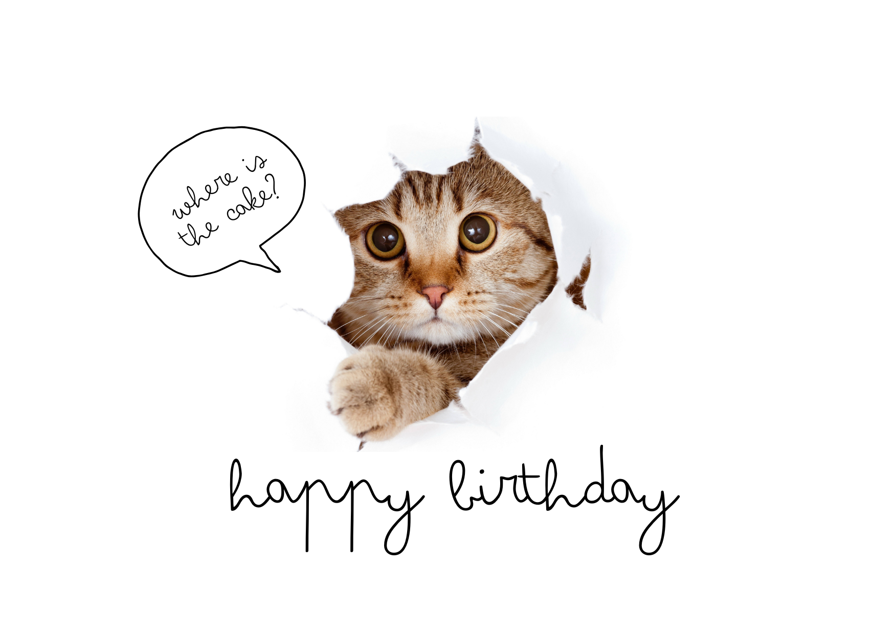 Funny Cat Birthday digital Card