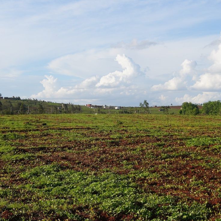 Agricultural Land for Sale