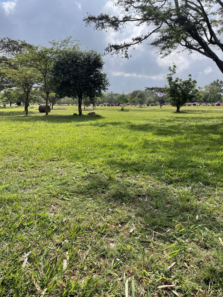 Spacious Green Land for Sale