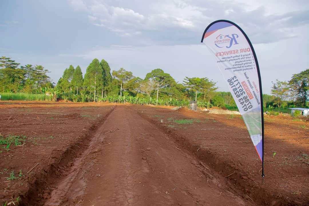 Agricultural Plot for Sale