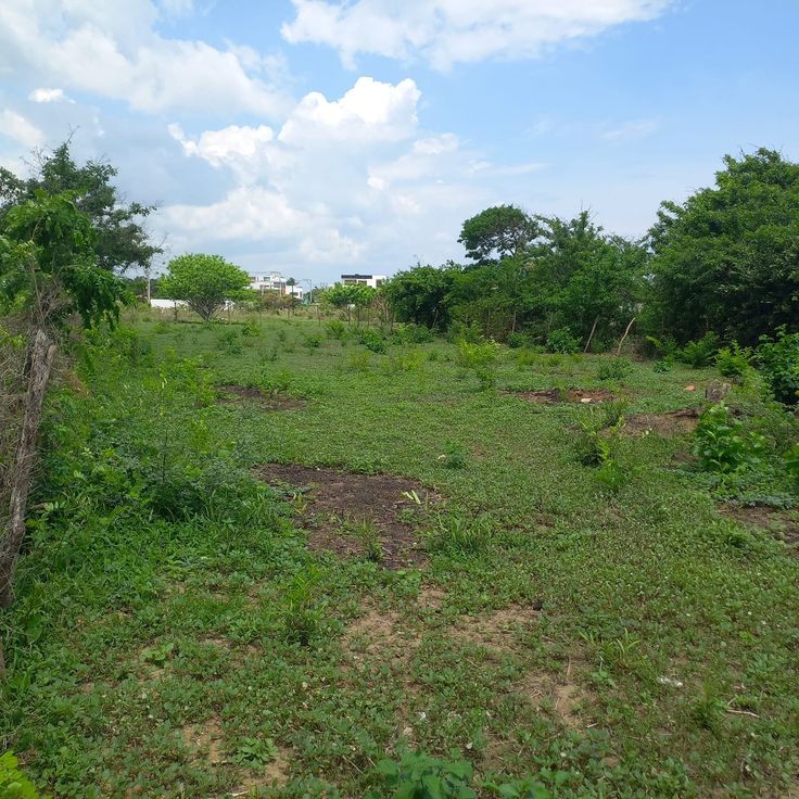 Vacant Land Plot