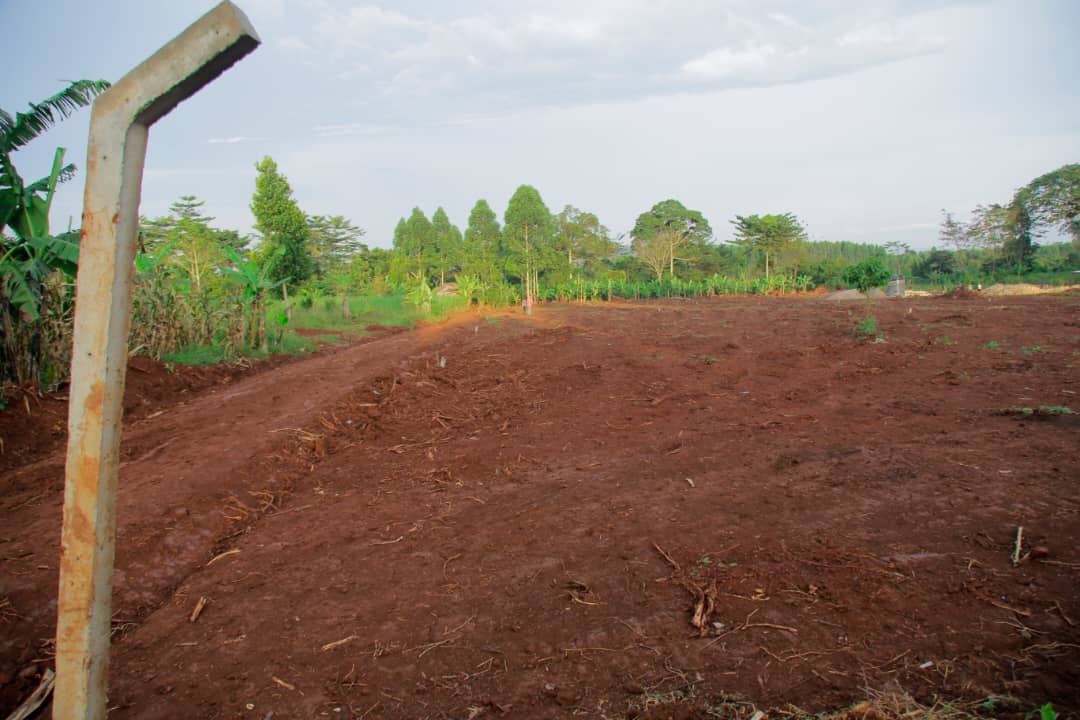 Vacant Plot of Land for Sale