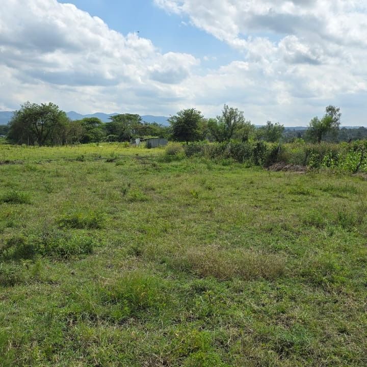 Vacant Land Plot