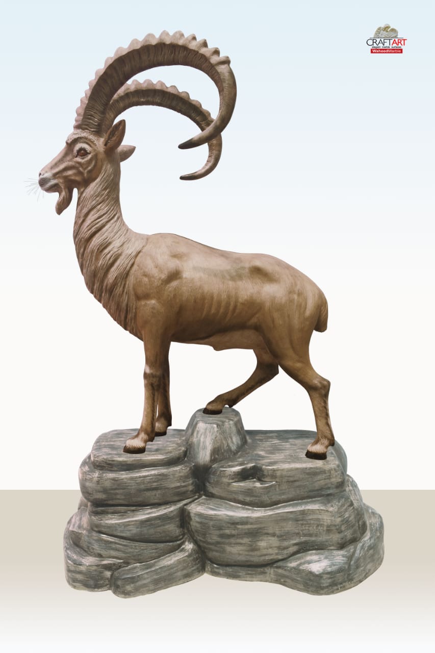 Mountain Ibex