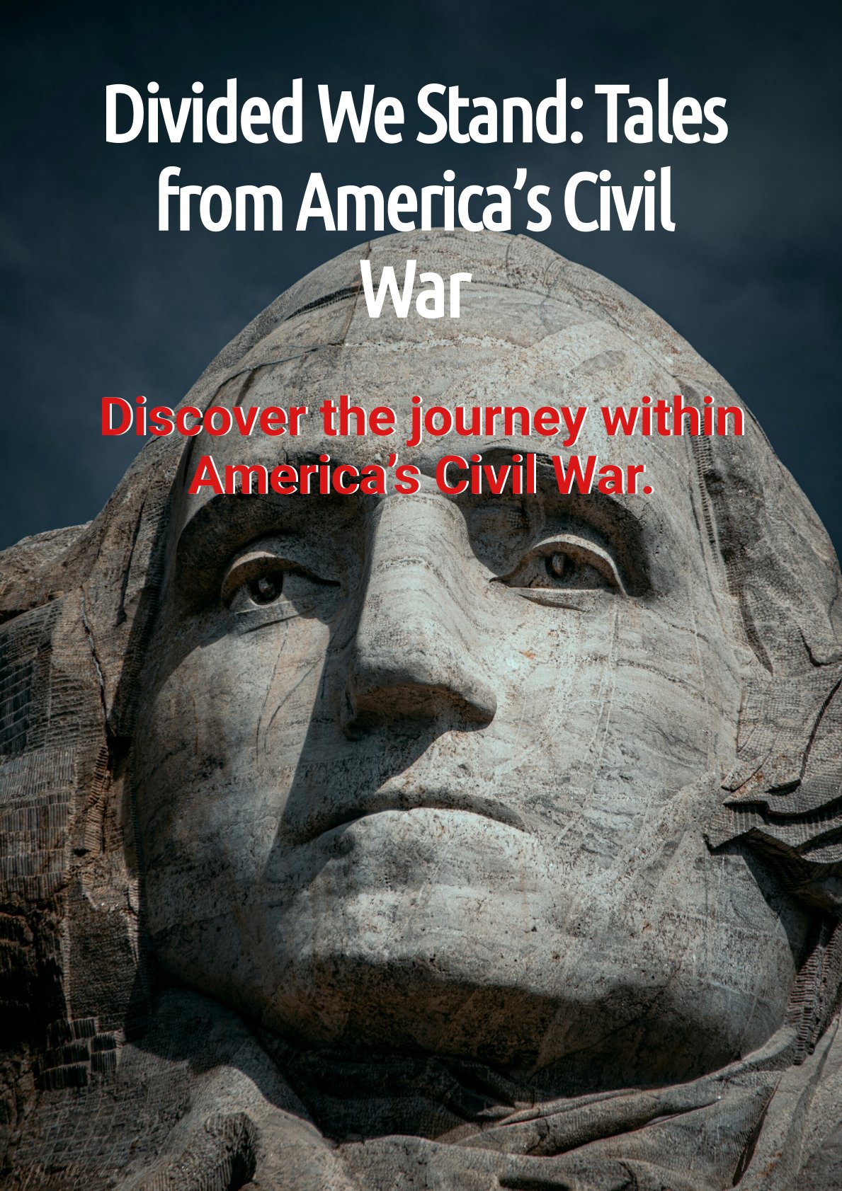 Divided We Stand: Tales from America's Civil War