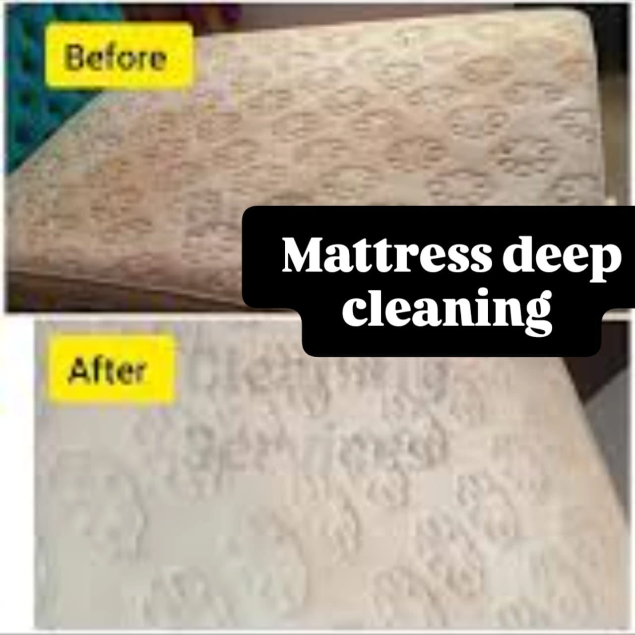 Full home deep cleaning 