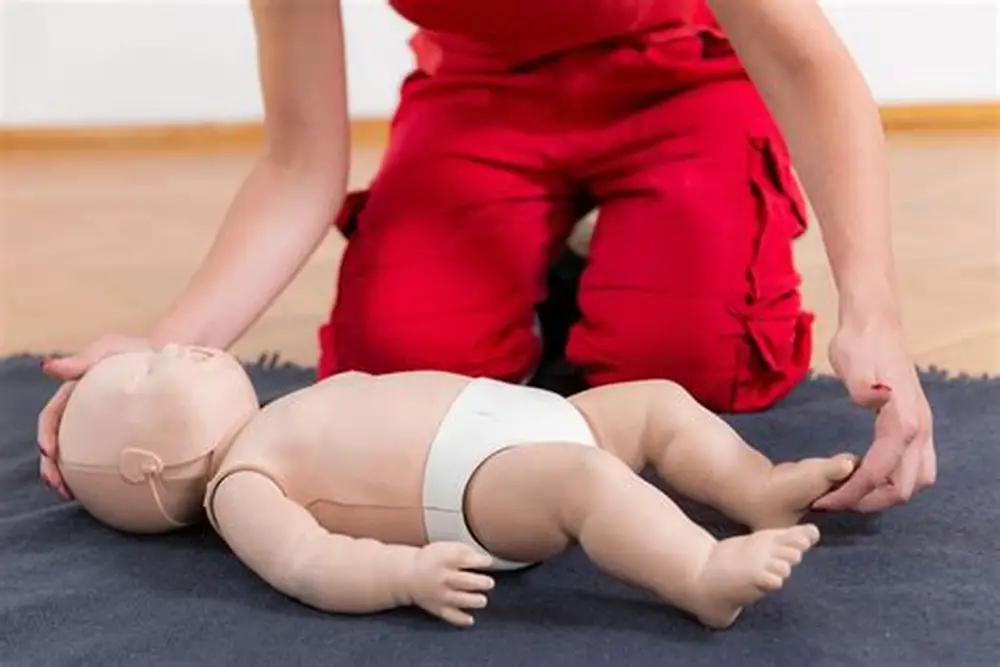 Adult + Child + Infant CPR