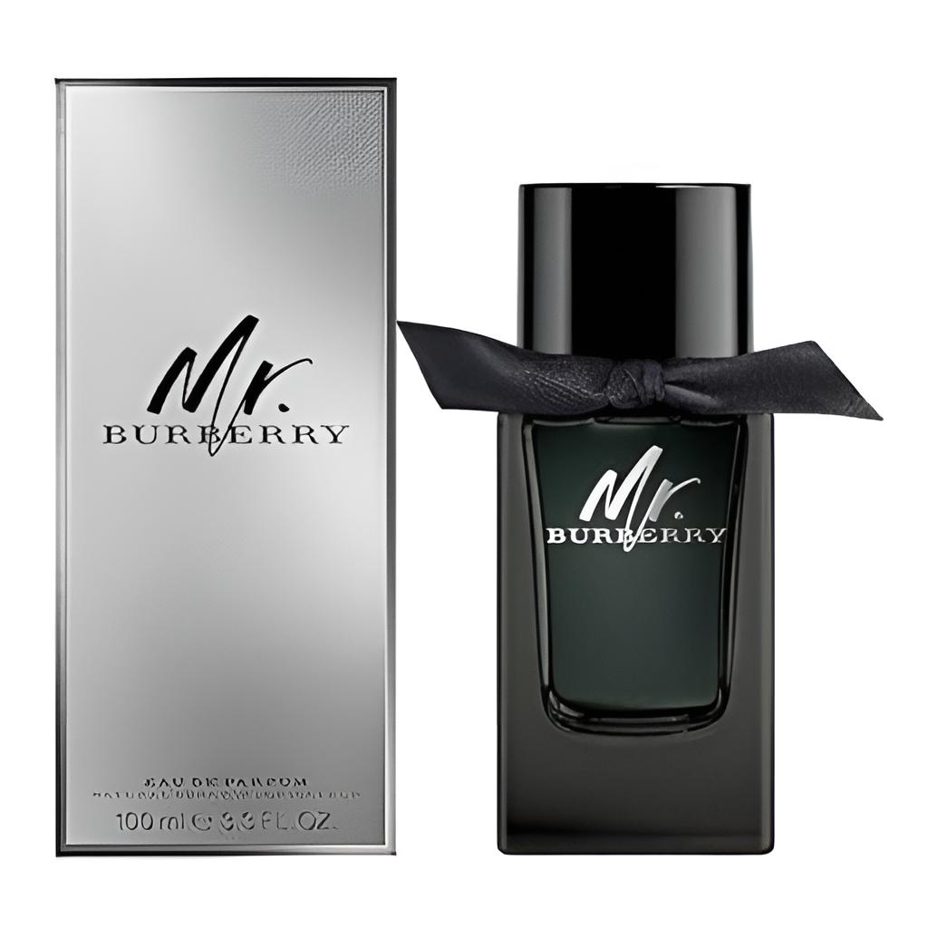 Mr. Burberry Eau de Parfum 100ml