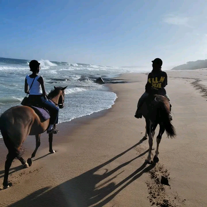 3-Day Southern Africa Adventure: South Africa, Eswatini & Mozambique