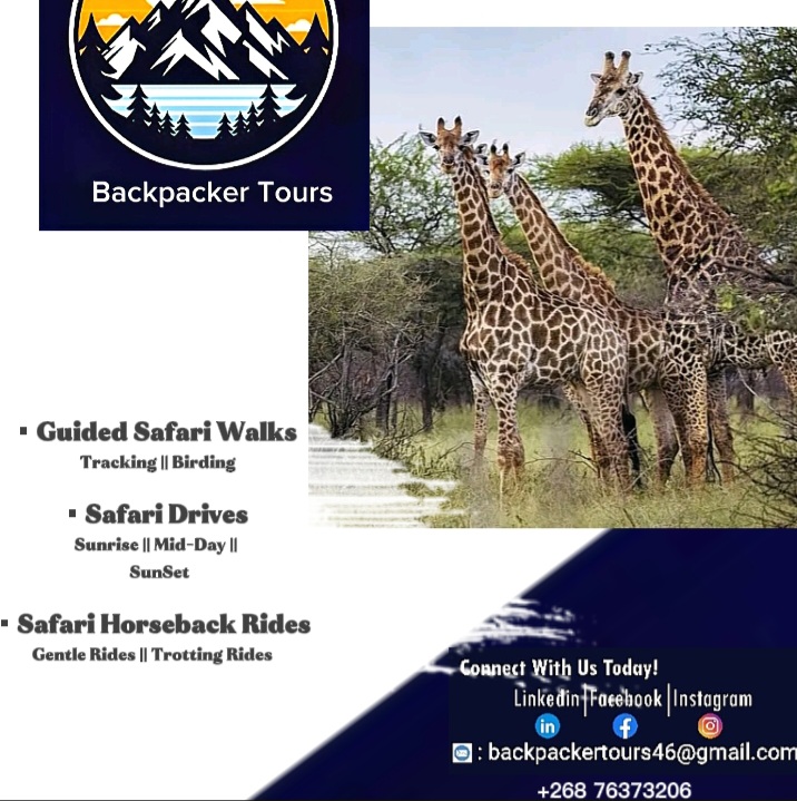 Safari/ Wildlife Tour