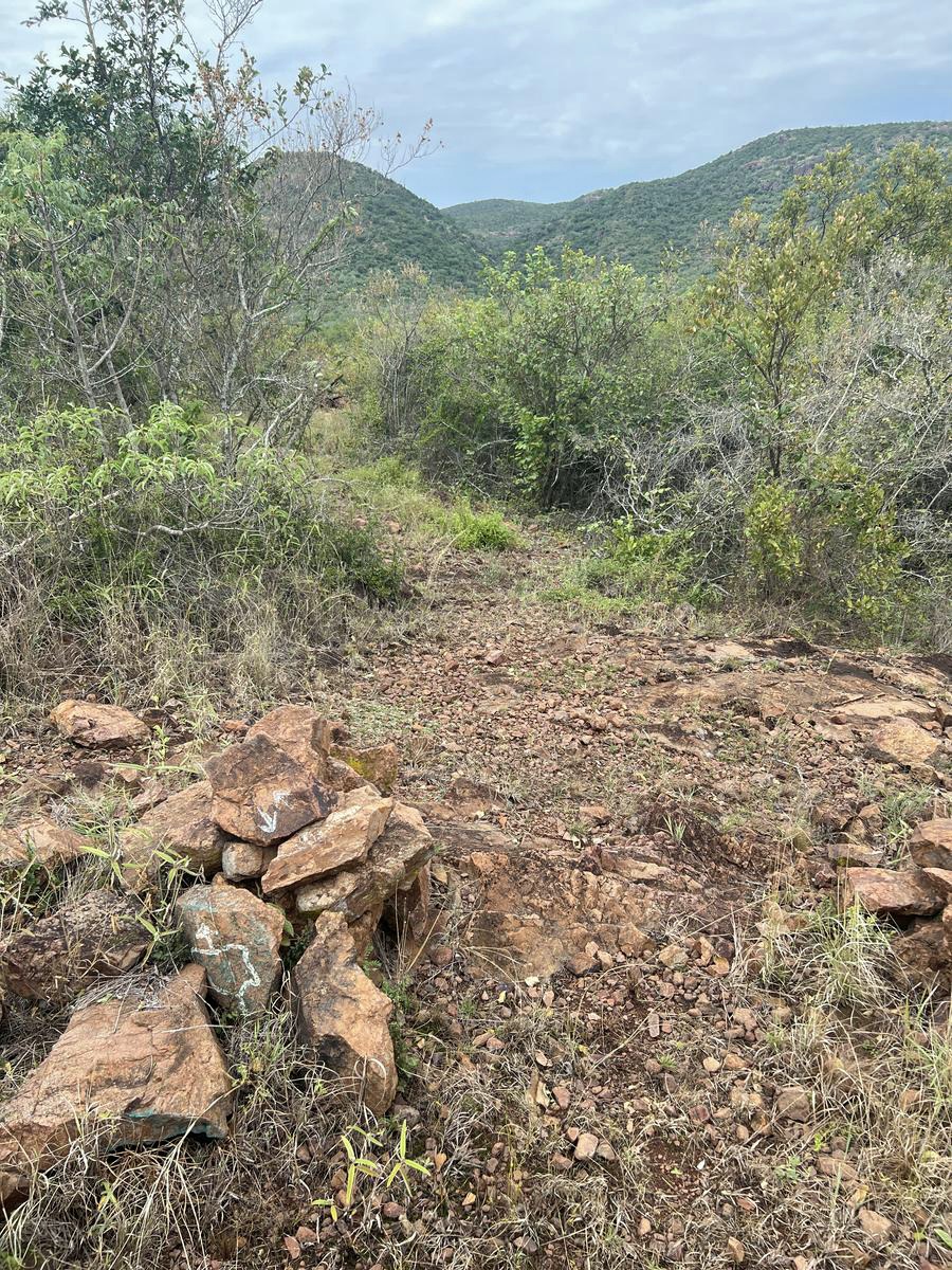 3-Day Eswatini Safari, Walking Bush Trail & Cultural Experience