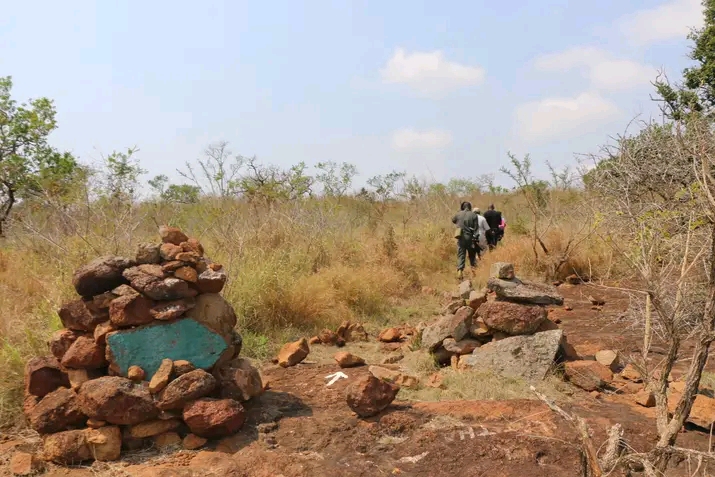 3-Day Eswatini Safari, Walking Bush Trail & Cultural Experience