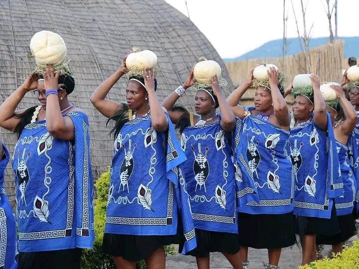 Swazi Traditional Ceremony Experience 