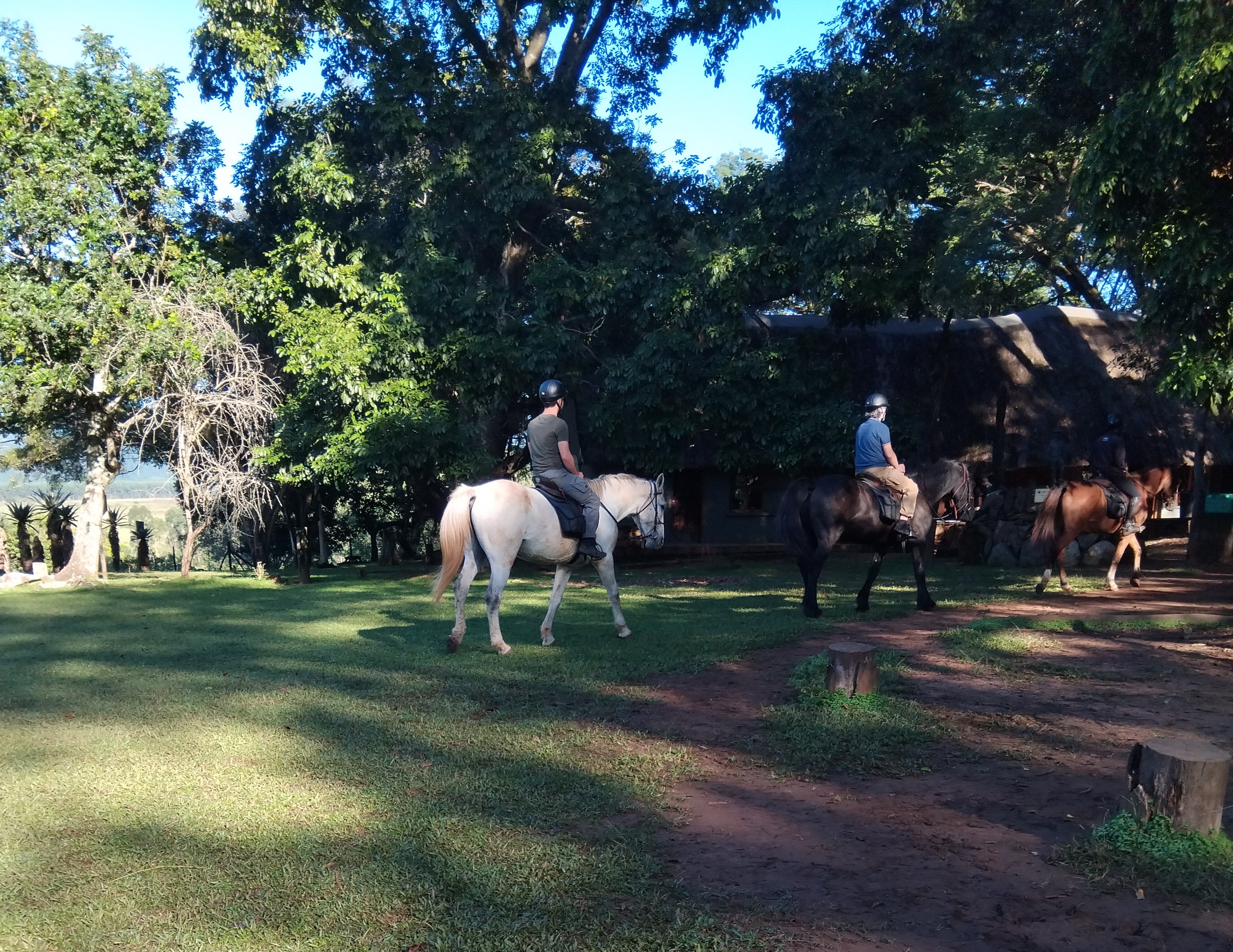 3- Hour Eswatini Safari Horse Riding Experience