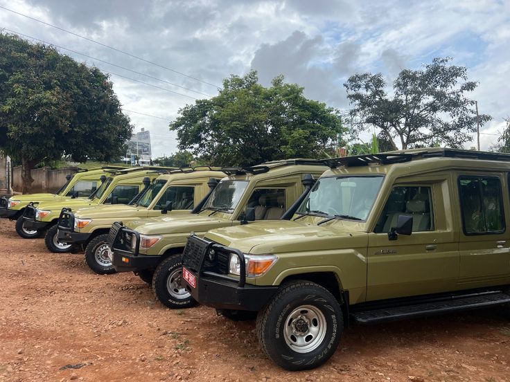 Safari Tour Land Cruiser