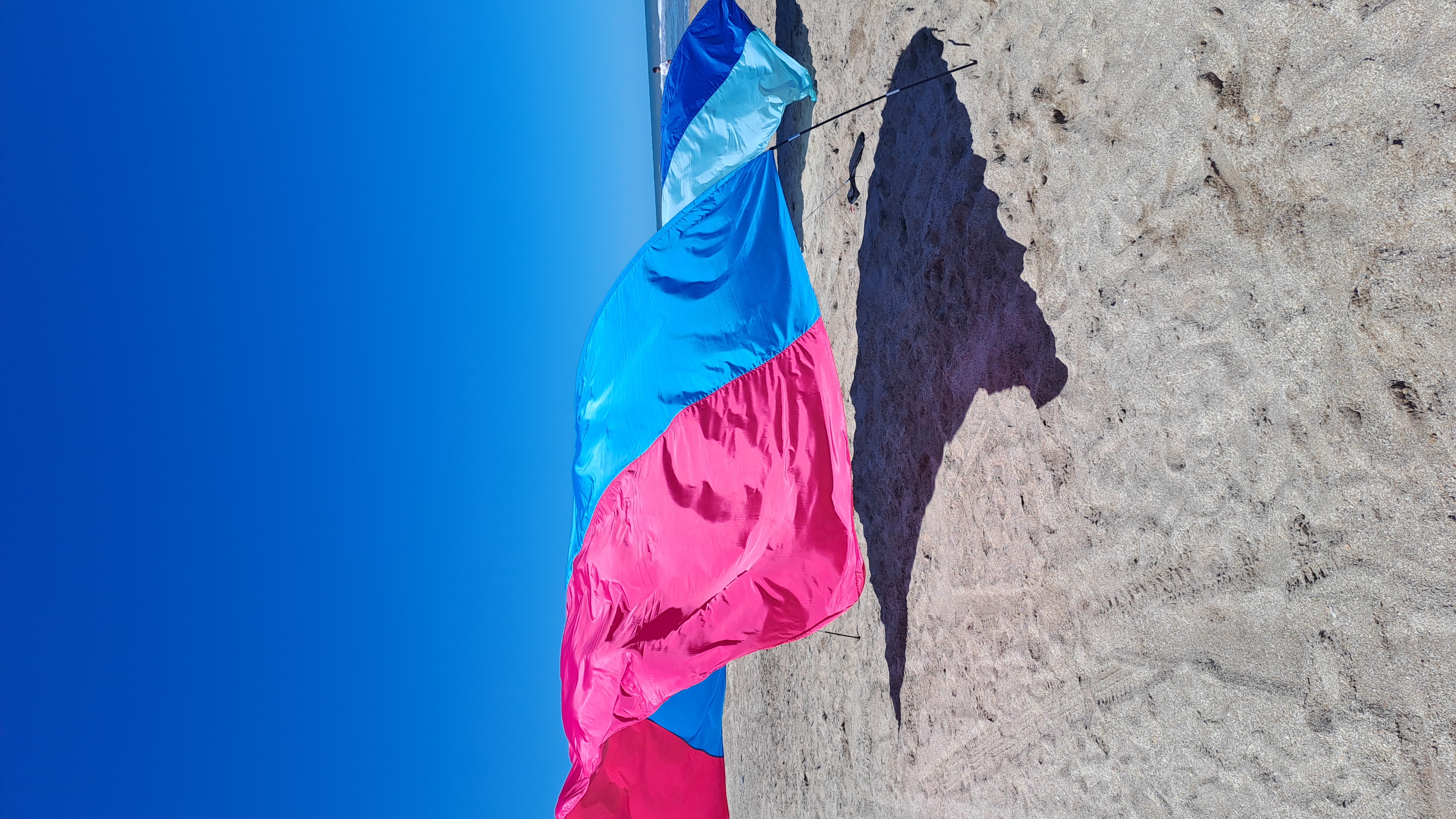 Kaito Fucsia y celeste