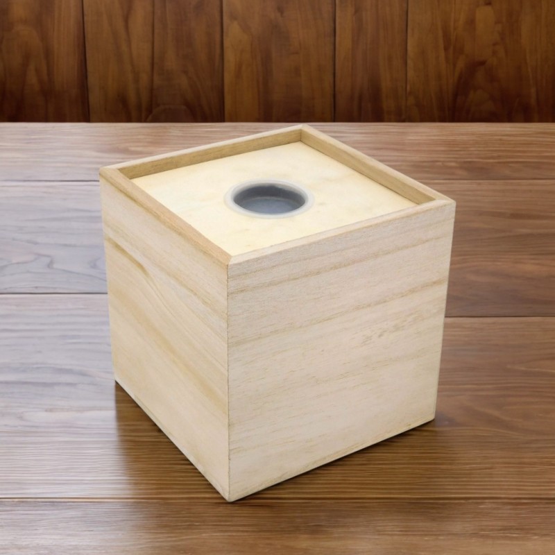 Wooden Money/Savings Box