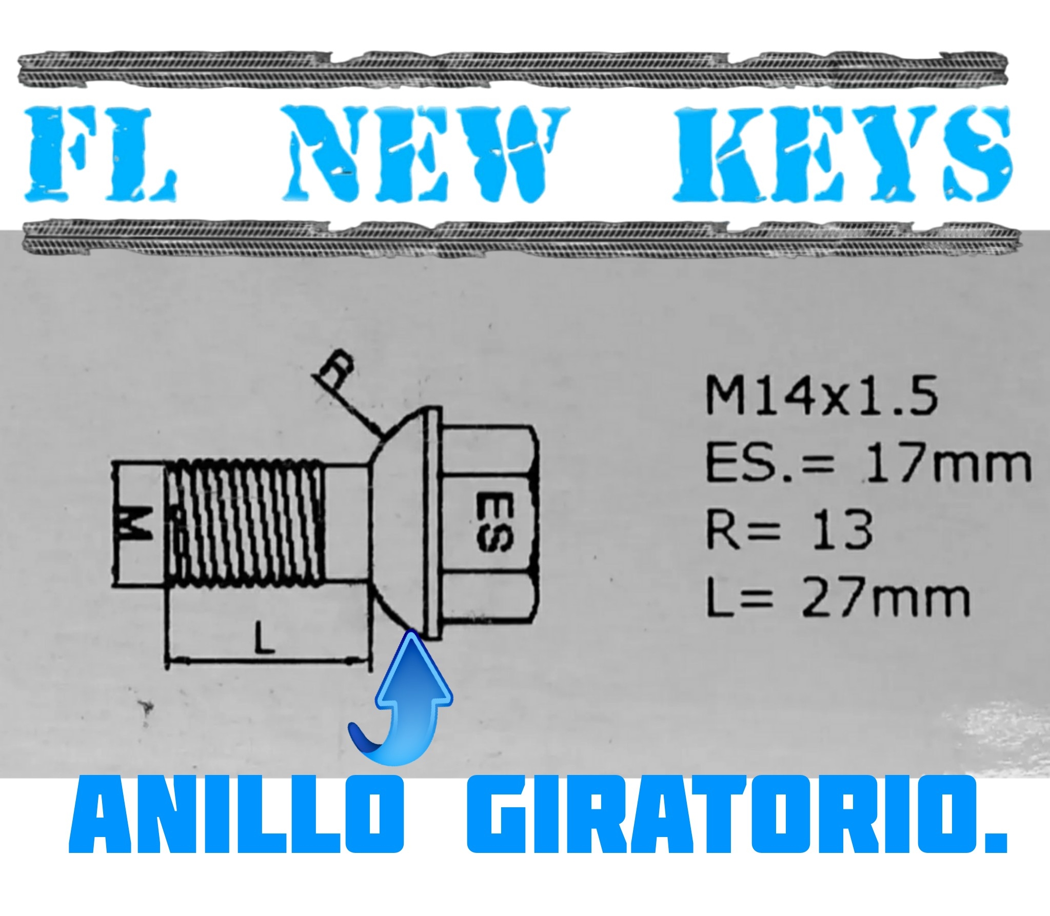 Set 4 Birlos Con Anillo Giratorio 14 X 1.5 Para Rines Vw Audi Originales 