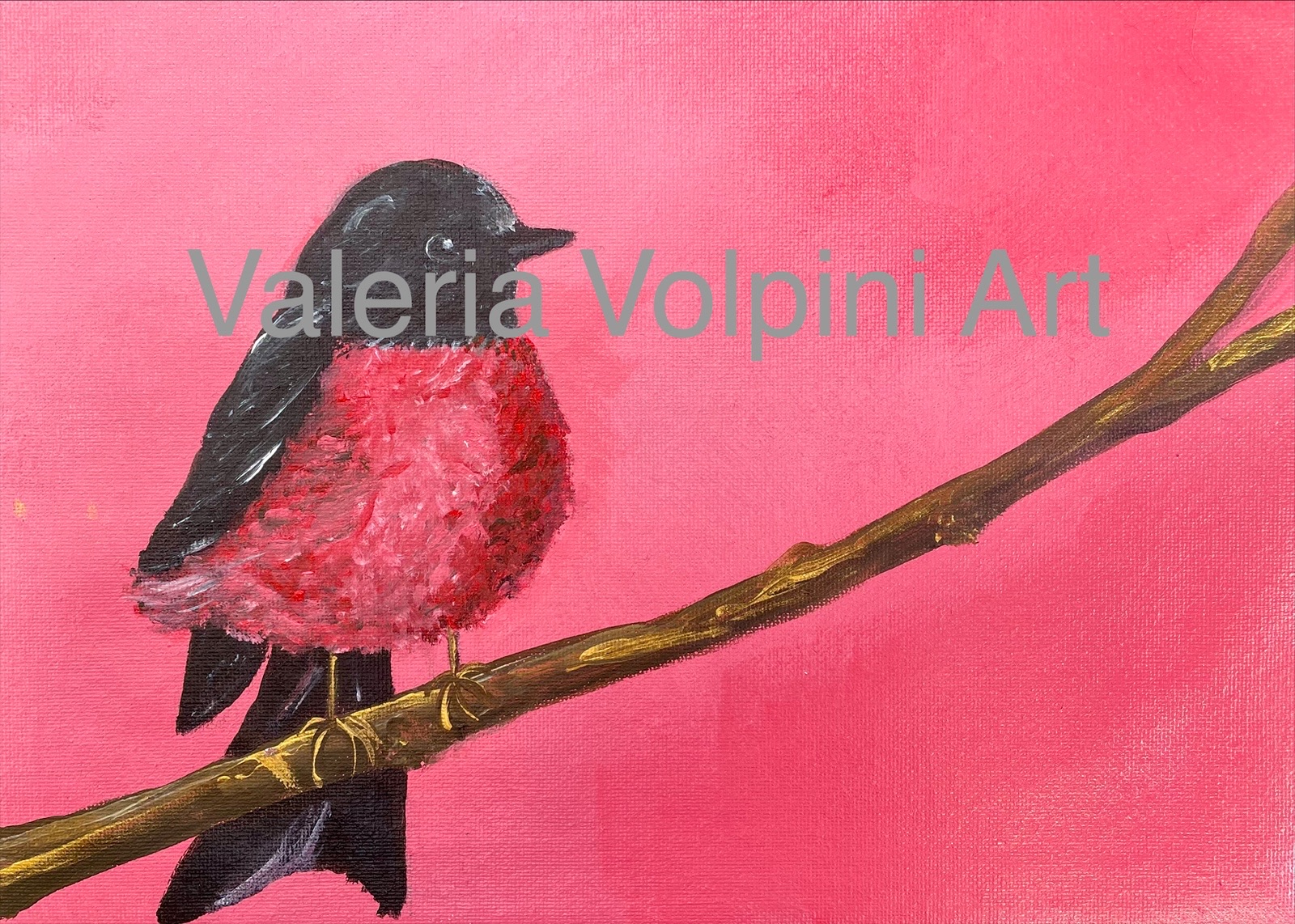 Pink Robin A4 PRINT