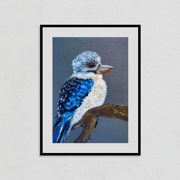 Baby blue winged kookaburra on grey A4 PRINT