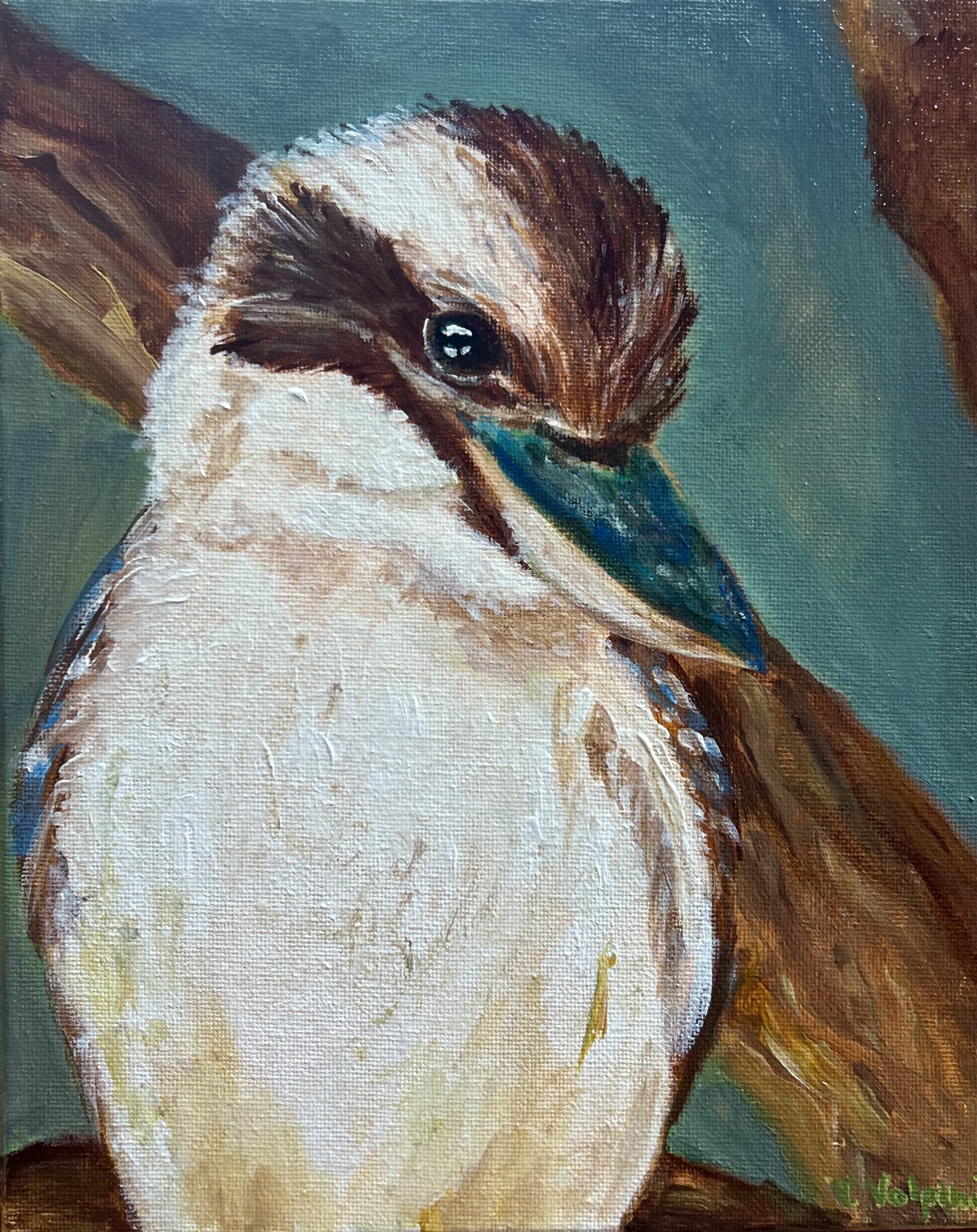Blue Winged kookaburra - framed 