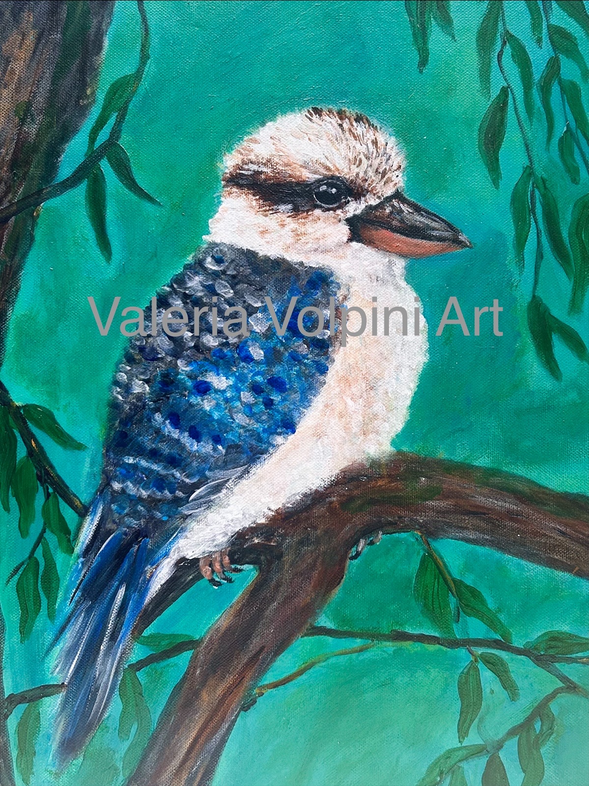 Kookaburra on Branch A4 PRINT