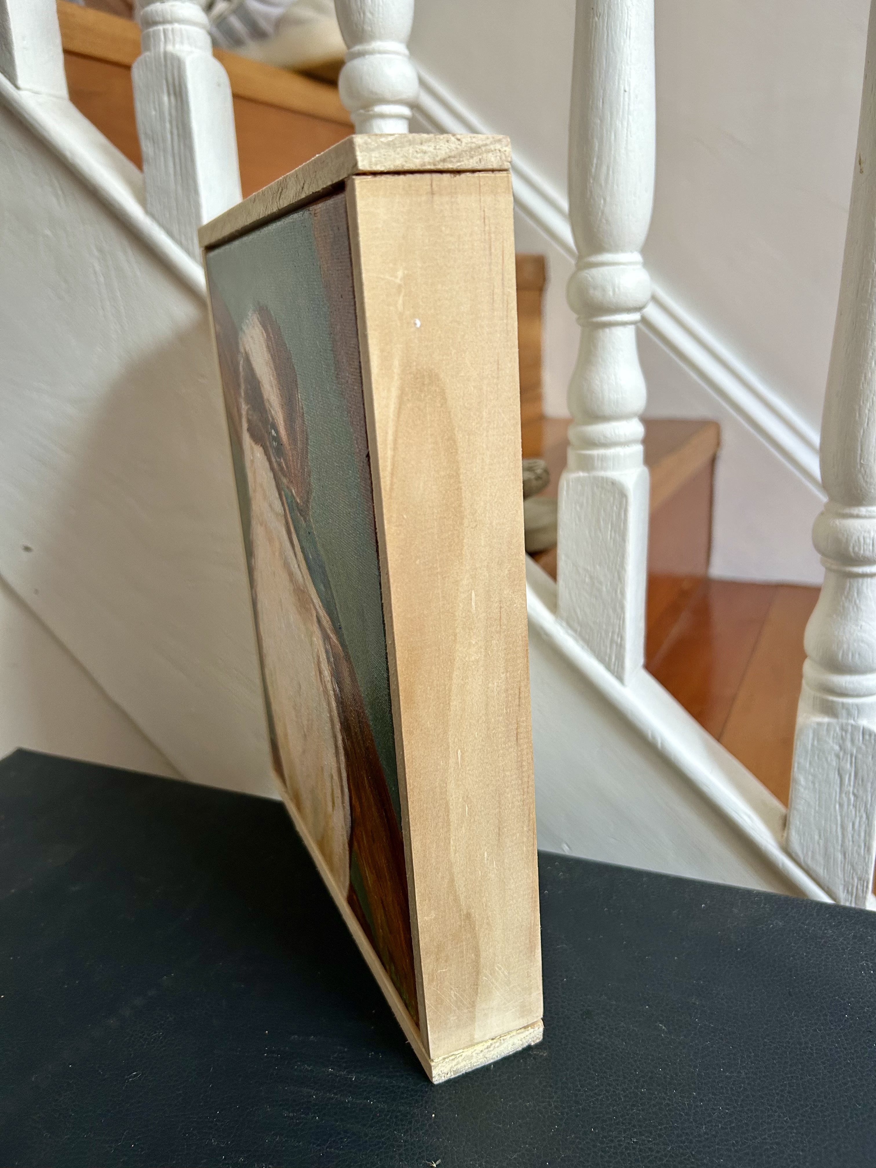 Blue Winged kookaburra - framed 