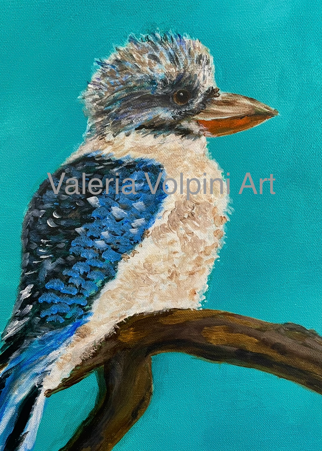 Greeting Cards pack of 2- choose your bird!