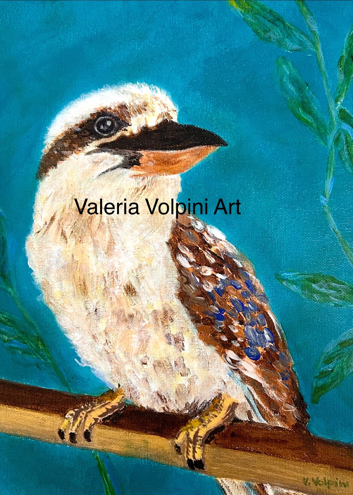 Kookaburra Perch