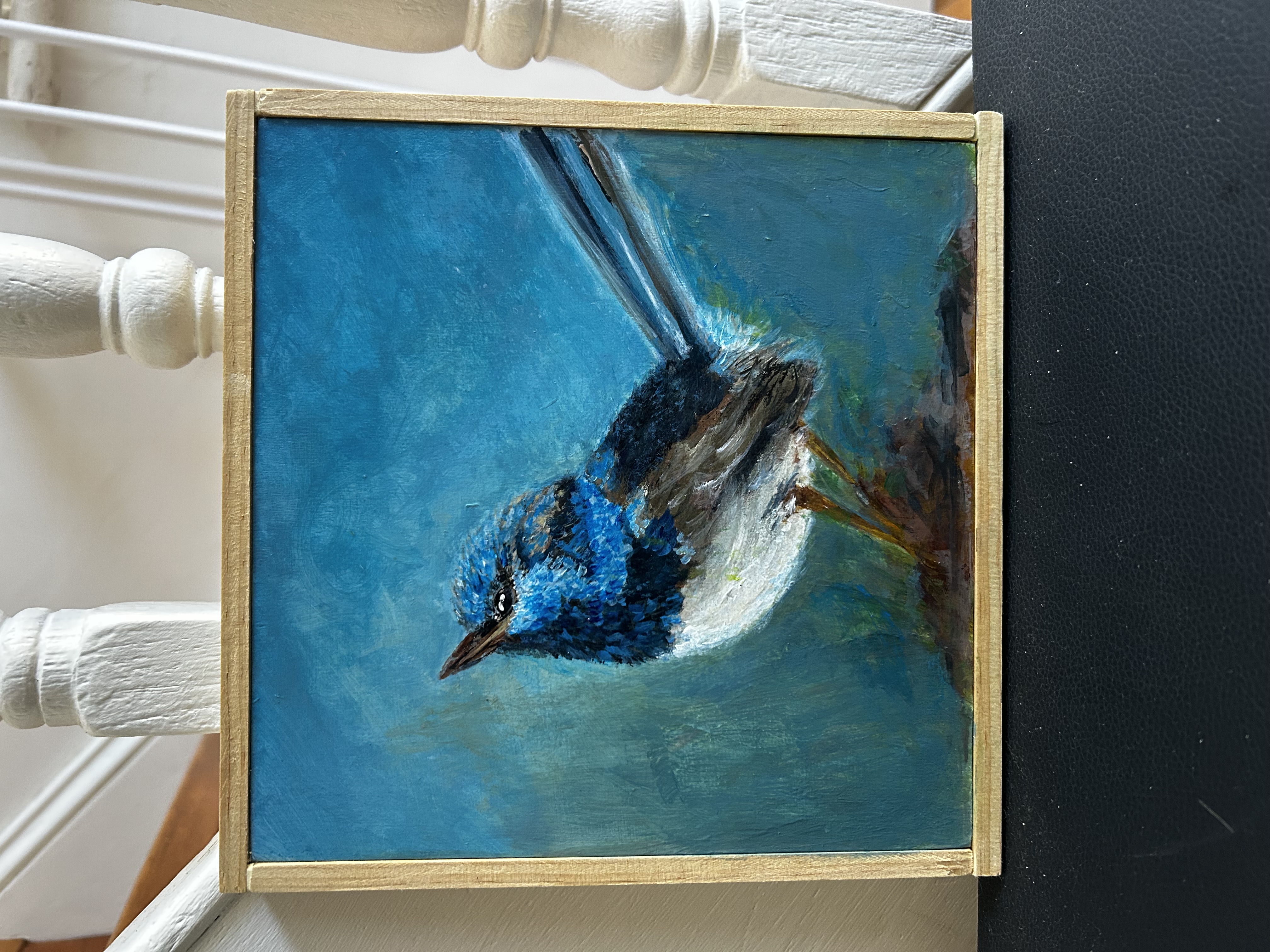 Little Blue Fairy Wren 2 - framed