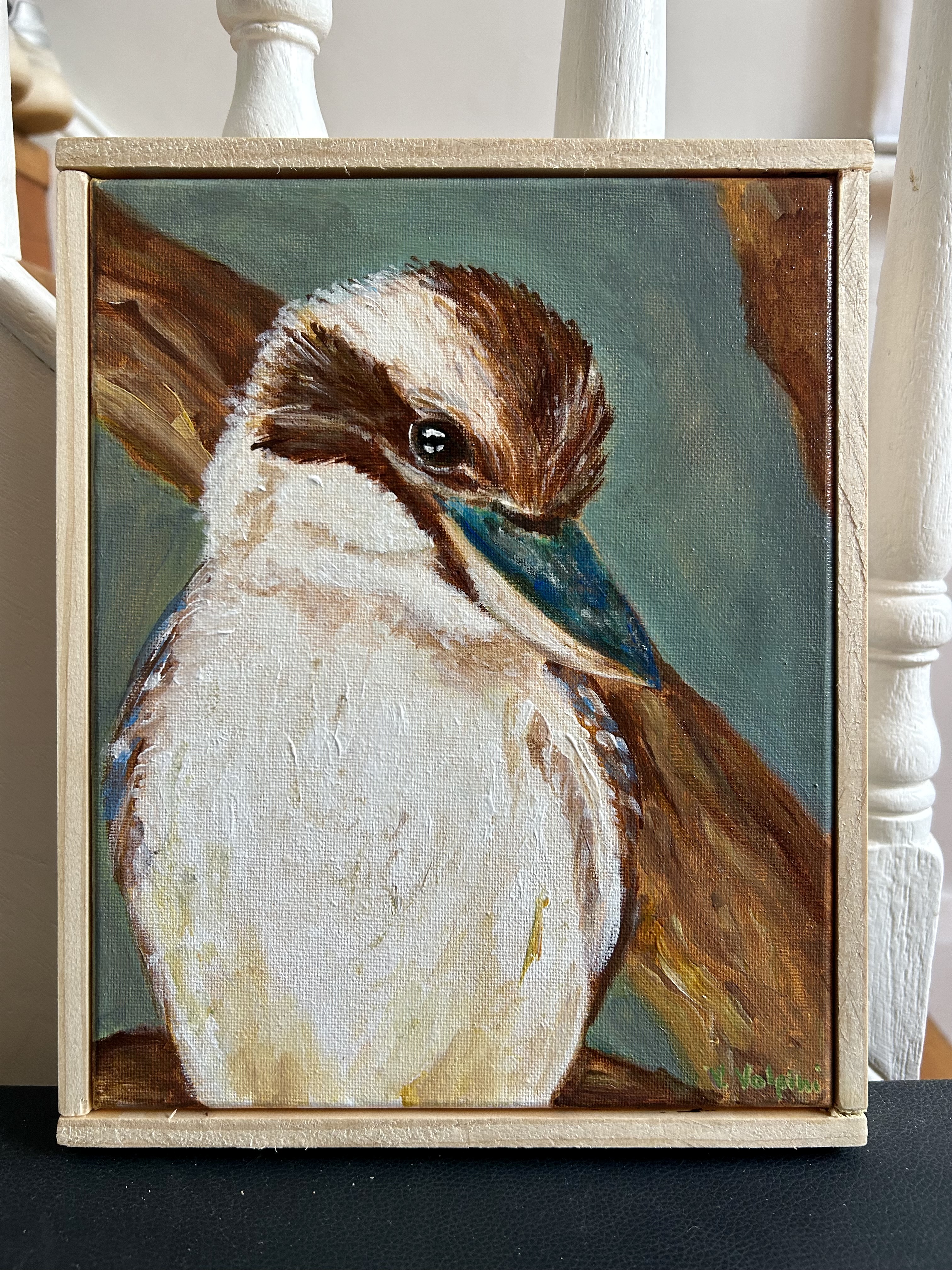 Blue Winged kookaburra - framed 