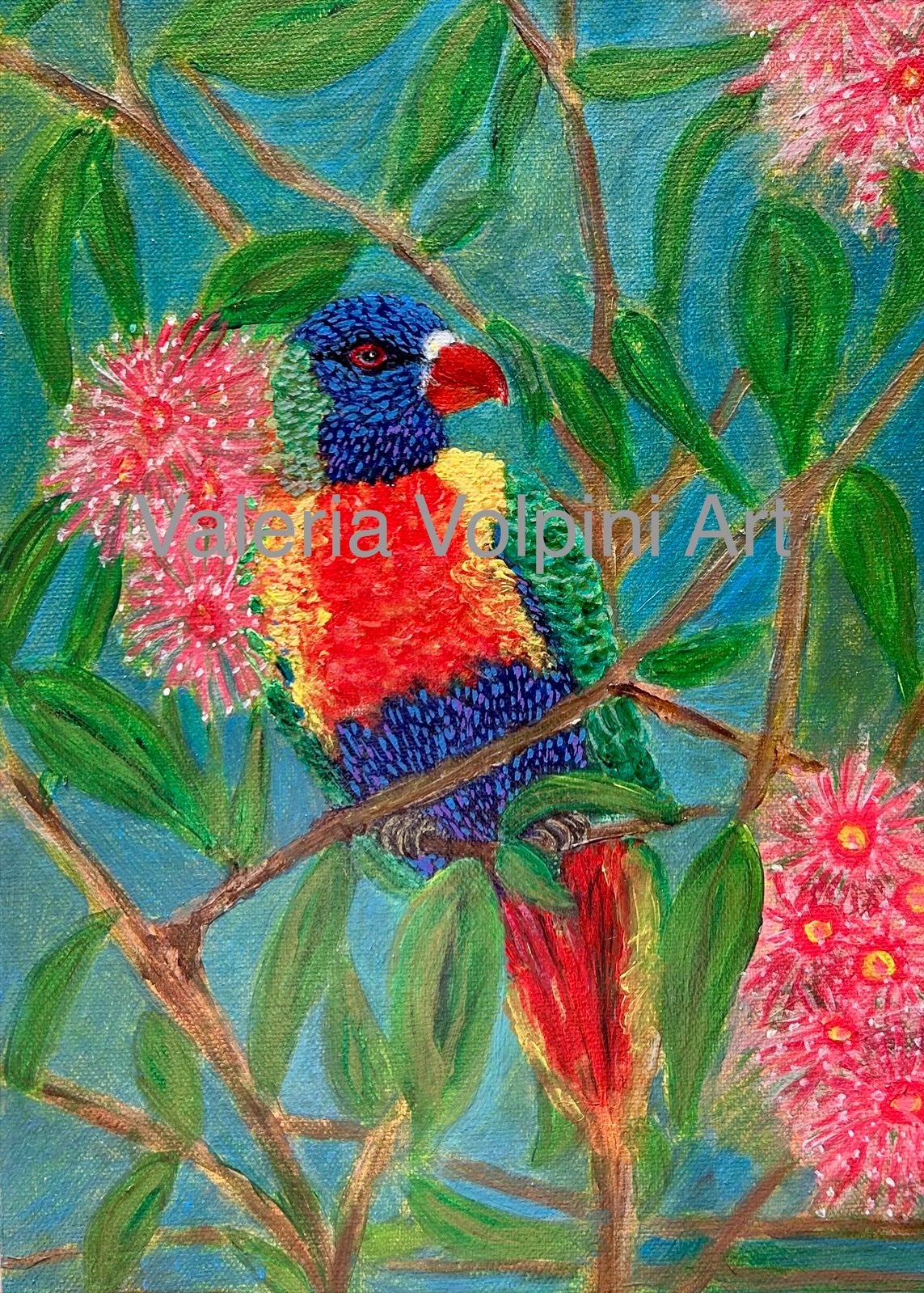 Rainbow Lorikeet A4 PRINT