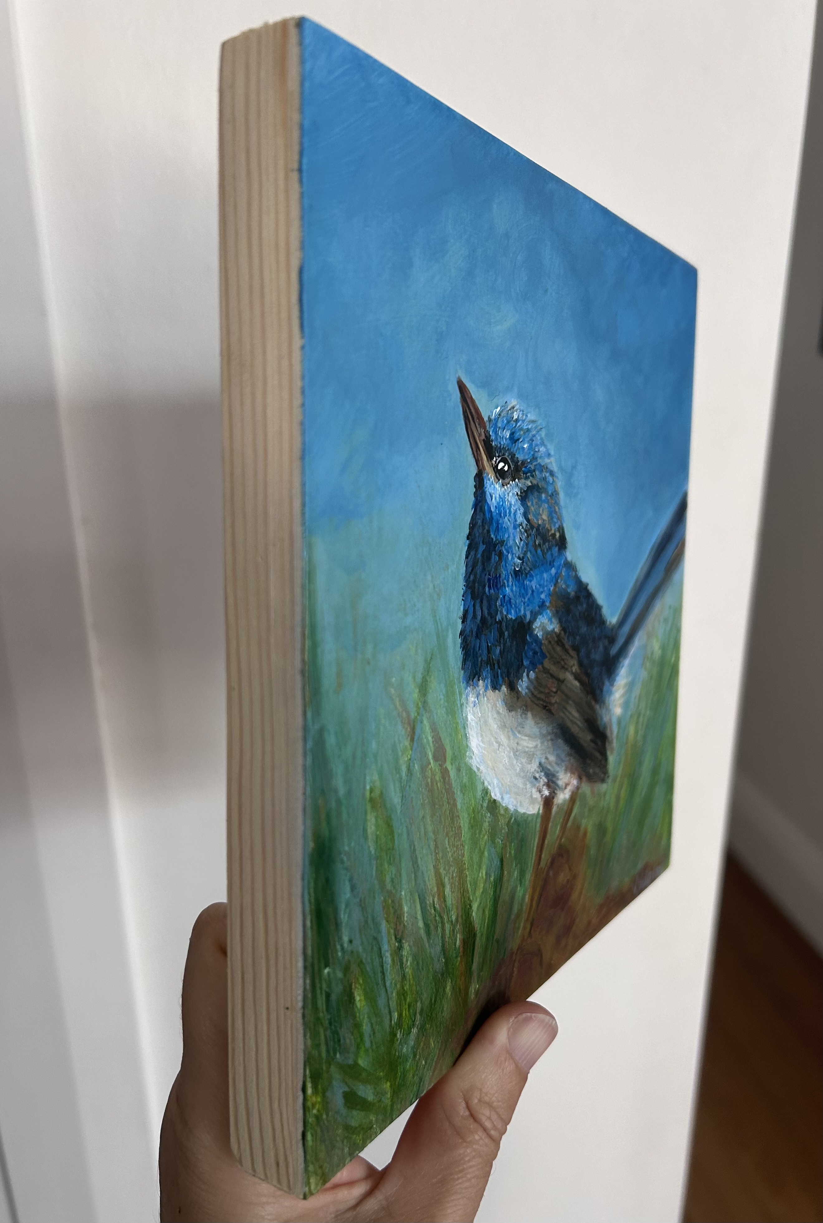 Little Blue Fairy Wren 2