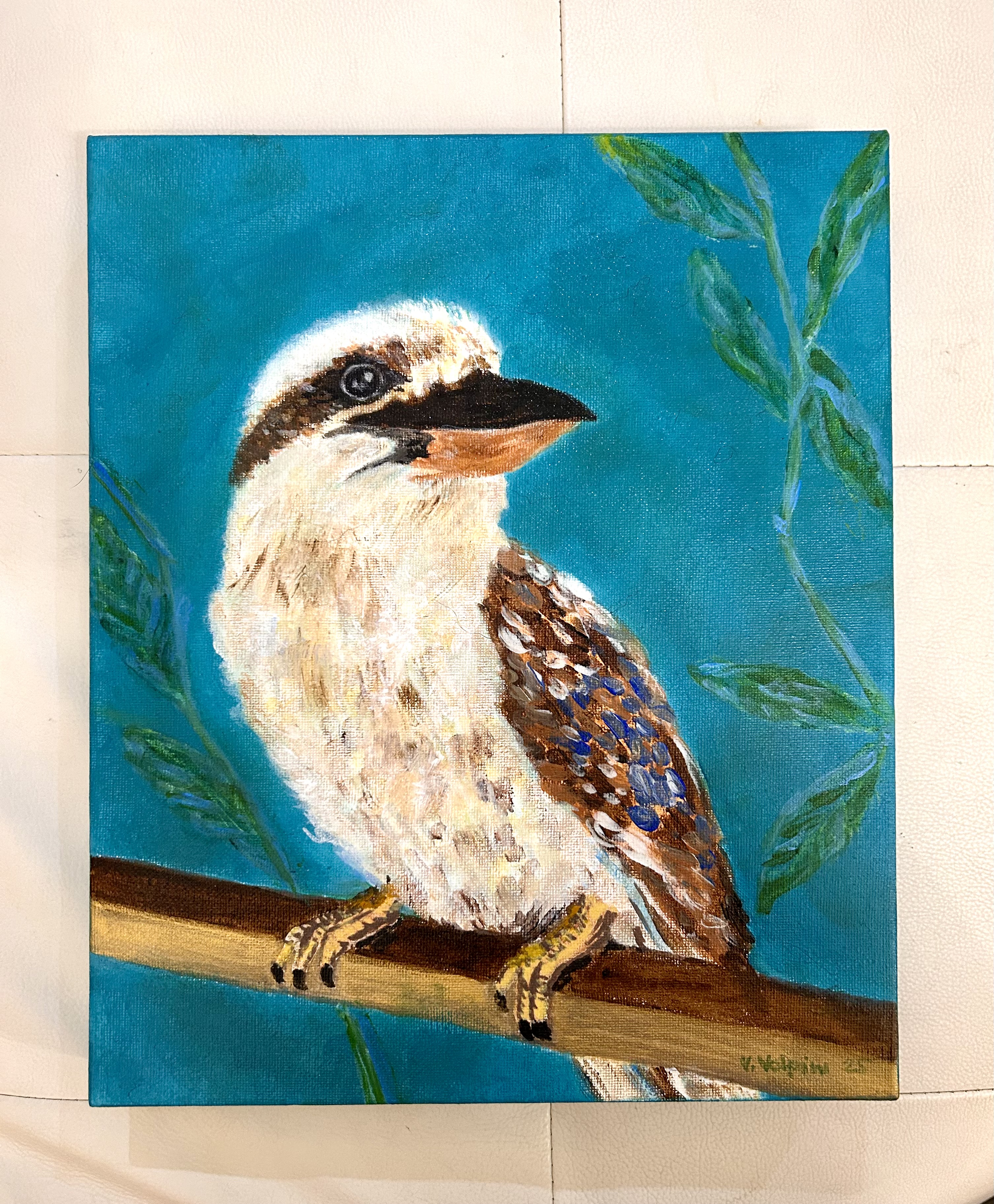 Kookaburra Perch