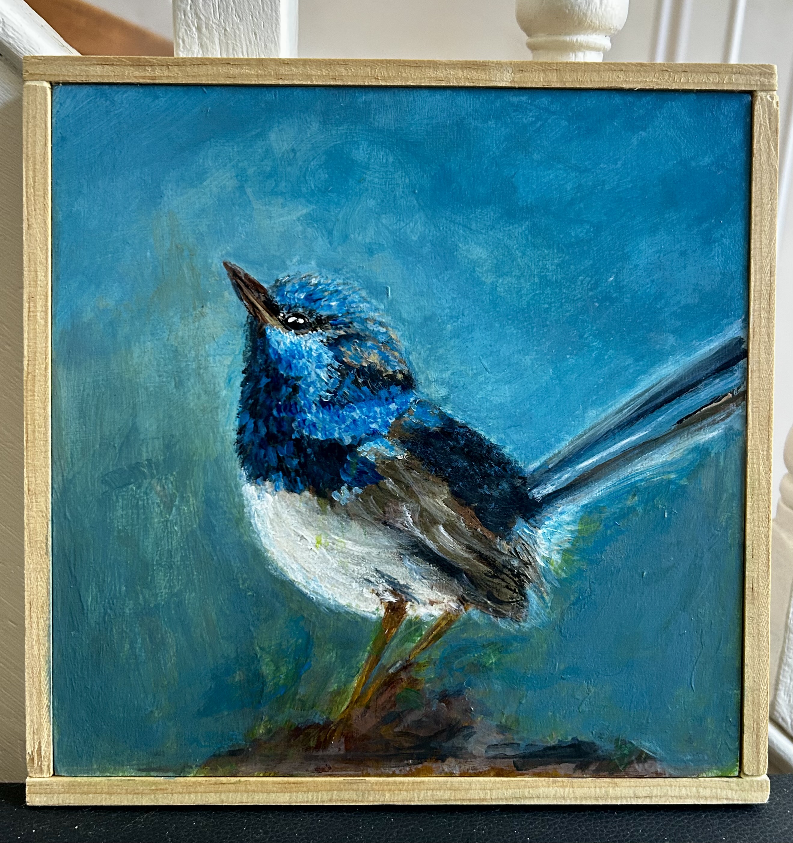 Little Blue Fairy Wren 2 - framed