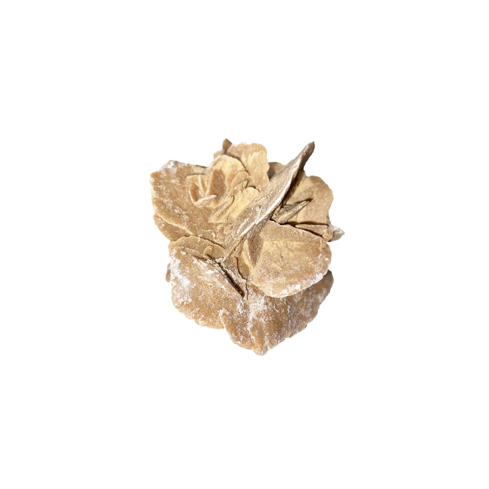 Rose des sables jaune.