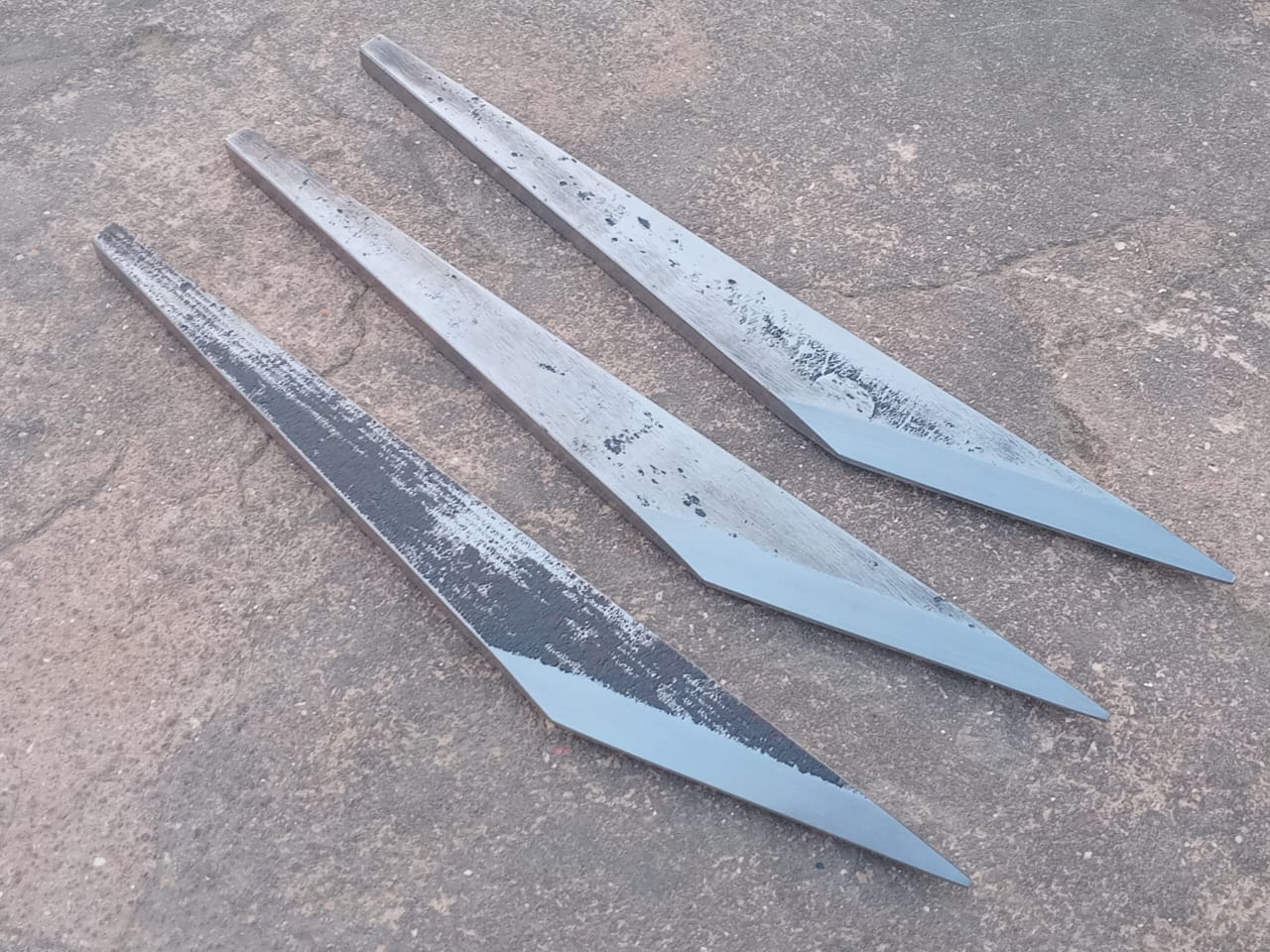 Large Flate Dragonfly