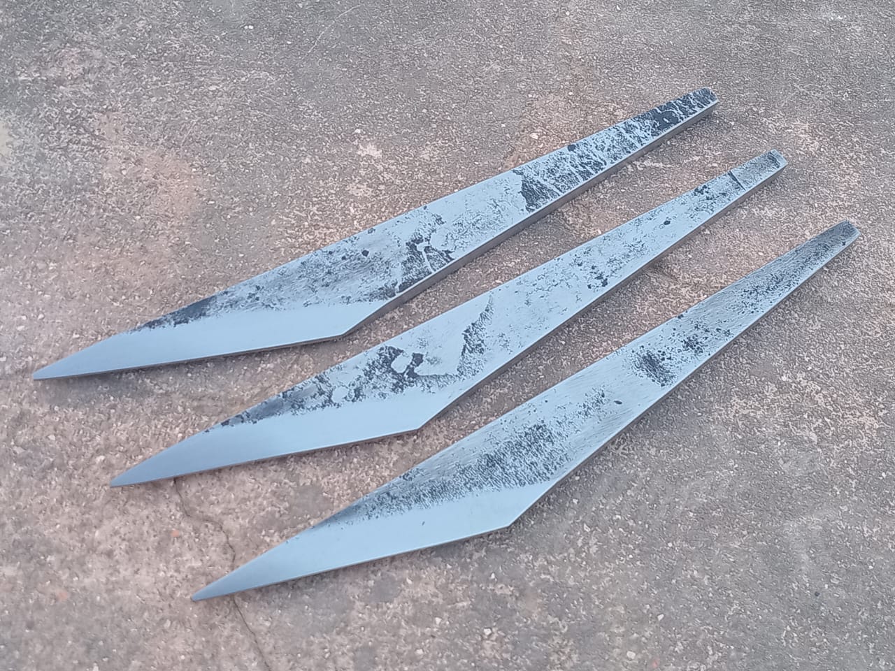 Large Flate Dragonfly