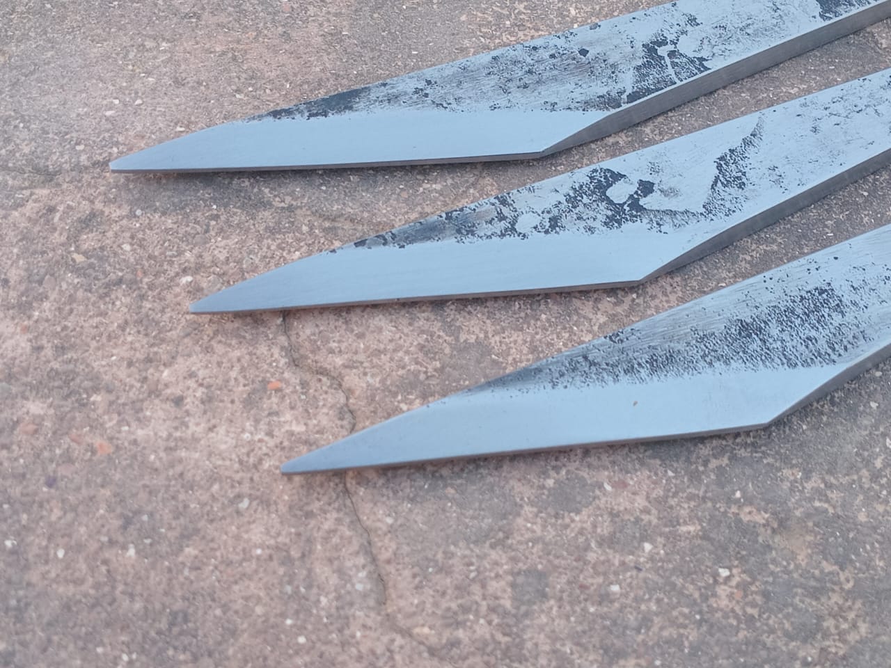 Large Flate Dragonfly