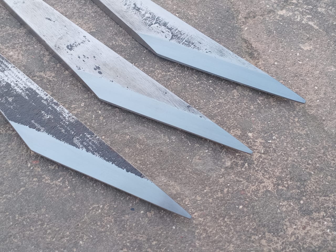 Large Flate Dragonfly