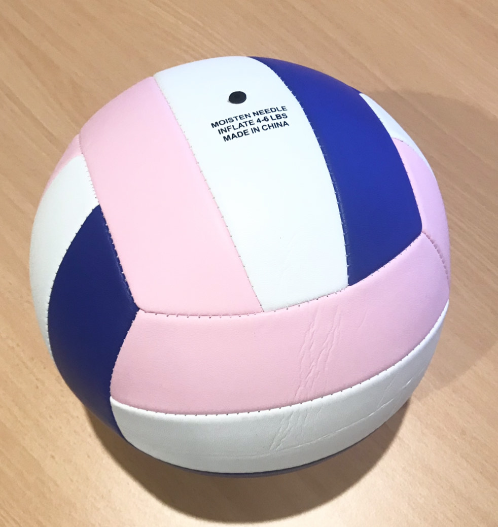Custom Volleyball